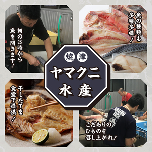 【焼津ひもの食堂】焼いてあるひもの4種7枚 (a15-671)