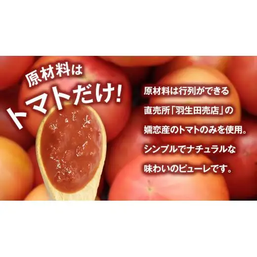 冷凍 トマトピューレ 180g × 10パック 訳あり [AL010tu]