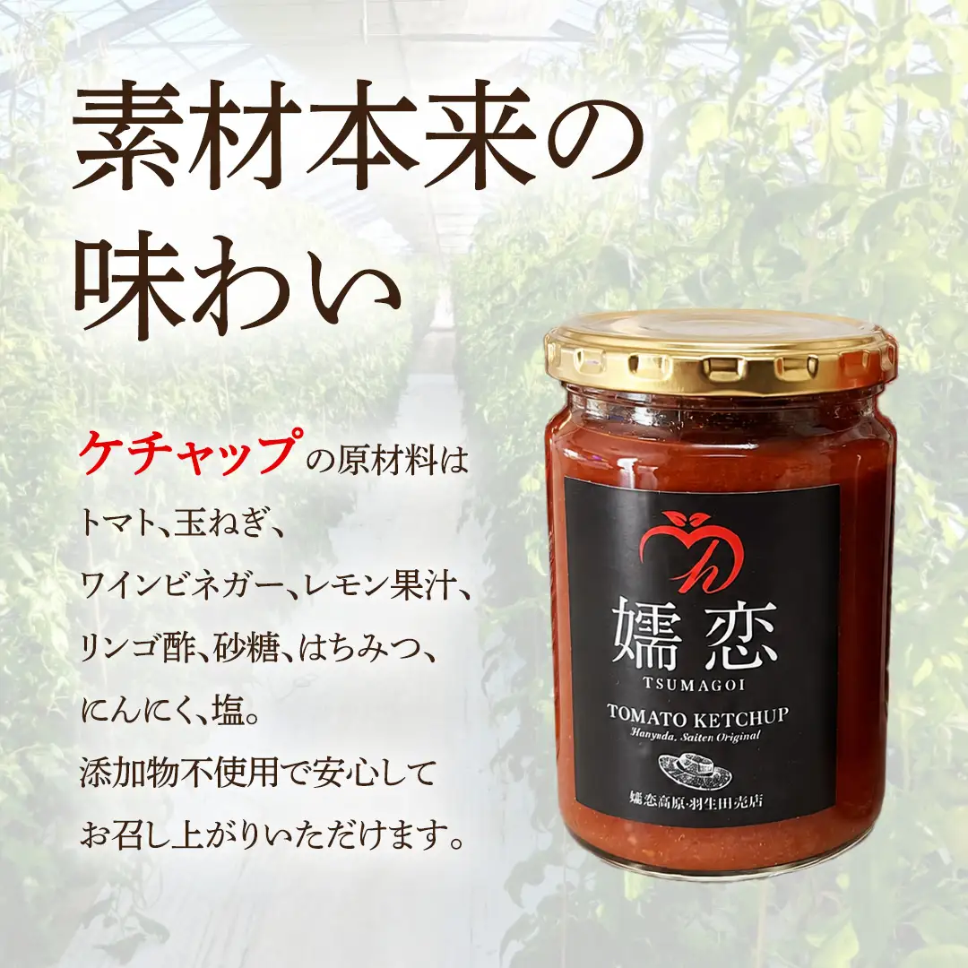 添加物不使用のトマトケチャップ 300g×2本 トマトジュース180ml×3本 詰合せセット 訳あり フードロス トマト トマトケチャップ ケチャップ トマトジュース ジュース 野菜 ギフト 詰合せ ギフトセット [AL013tu]
