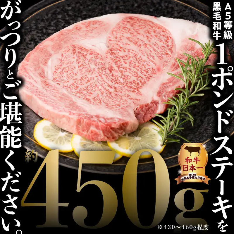 A5等級 鹿児島県産黒毛和牛リブロース 1ポンドステーキ K002-041_01 肉 牛肉 冷凍