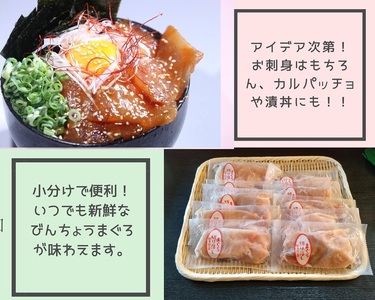 びんちょうまぐろの切落し生食用10Pセット (a10-1138)