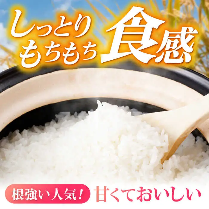 【R8年新米】循環農法米 ヒノヒカリ 白米 5kg / 米 こめ コメ おこめ お米 白米 ひのひかり / 諫早市 / 株式会社土井農場 [AHAD094] 新米 しんまい