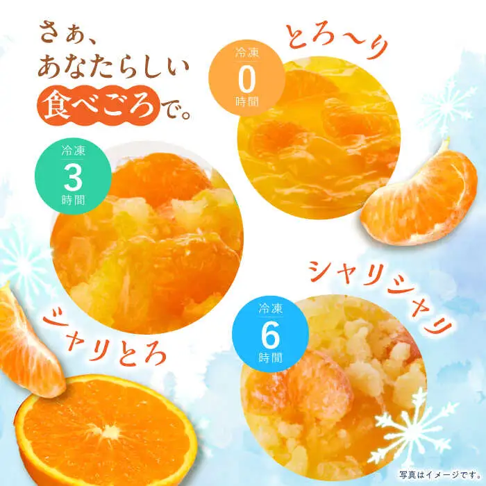 　【贈答用】 たらみ とろける味わい 詰め合わせ 12個セット( みかん 白桃 ぶどう ミックス ) / ゼリー ぜりー フルーツゼリー 果実ゼリー 果物 フルーツ くだもの ミカン ブドウ 桃 食べ比べ / 諫早市 / 株式会社たらみ [AHBR033] 