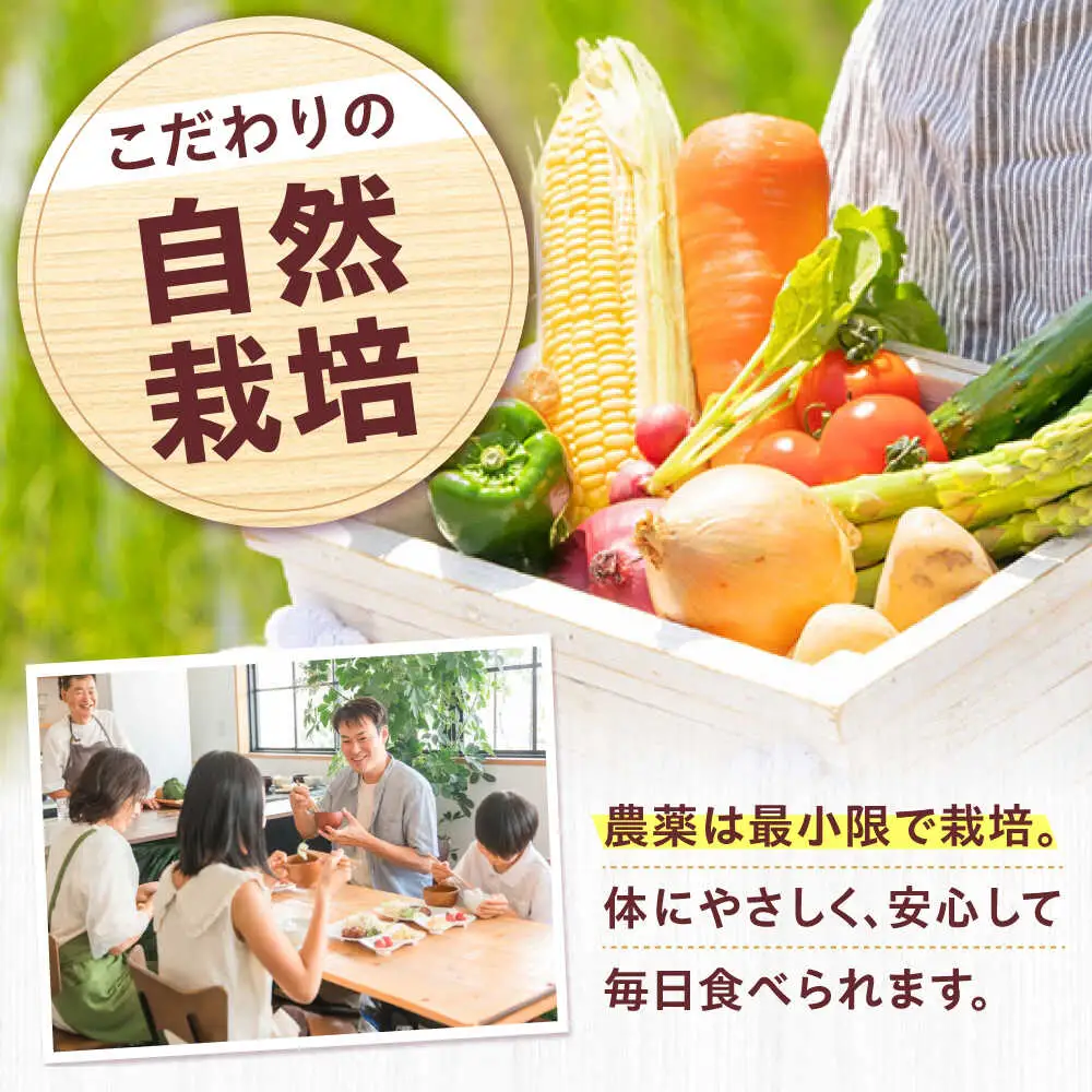 高槻野菜詰め合わせ 3月（10〜15種）＆はちみつ セット[AOCS022]野菜セット
