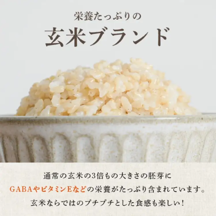 3回 定期便 令和8年産 金のいぶき 10kg 3回 合計30kg 有機JAS 玄米