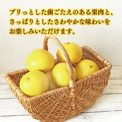  訳あり 文旦 8.5kg あいなんマザーズ