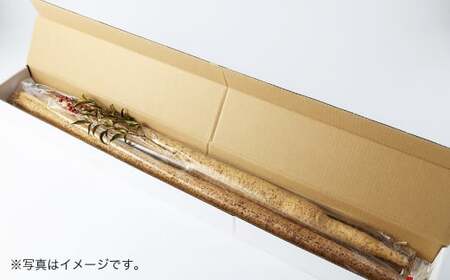ここのえの自然薯 約1kg 山芋 ヤマイモ やまいも 芋 九重町産 【2026年12月上旬～2027年2月下旬まで順次発送予定】