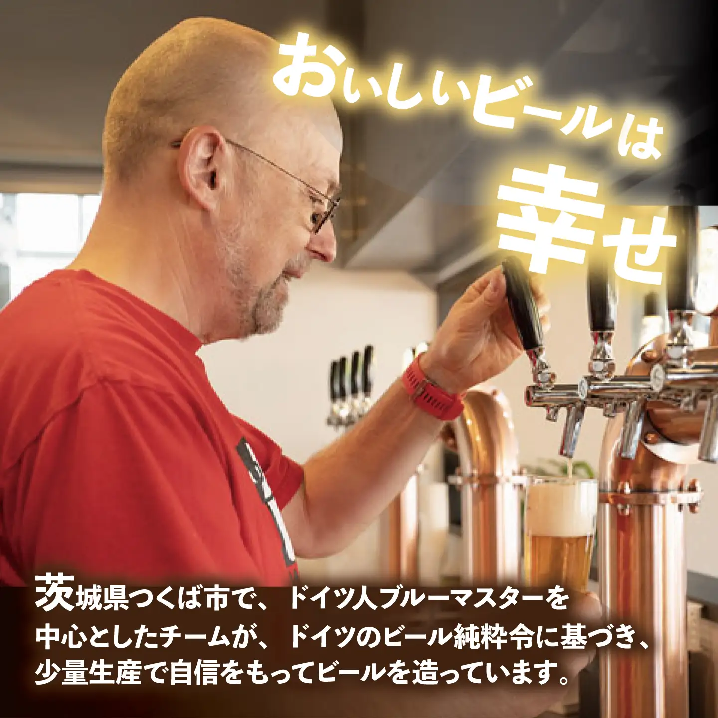 クラフトビール おまかせ6本 ビール