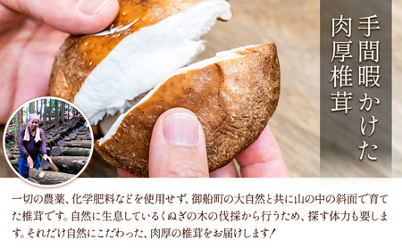 しいたけ 椎茸 生椎茸 1kg 荒木農産《11月上旬-12月中旬頃出荷》熊本 御船 原木椎茸 送料無料 st-p