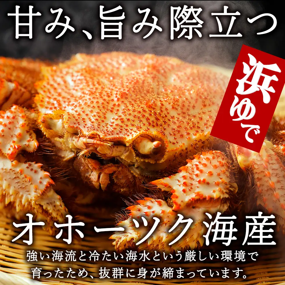 【のし付き】北海道オホーツク海産 浜ゆで毛がに　約500g×2尾【配送不可地域：離島】
