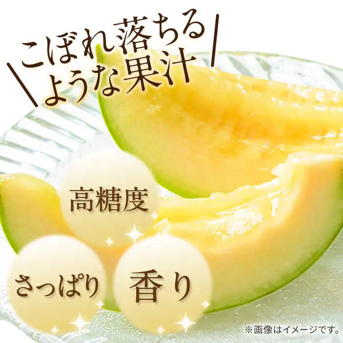 【2027年4月下旬-発送】【根強い人気!】訳あり プリンスメロン 約4kg×2箱（1箱 7?13玉） 傷もの / メロン めろん 果物 フルーツ / 南島原市 / 南島原果物屋[SCV020]
