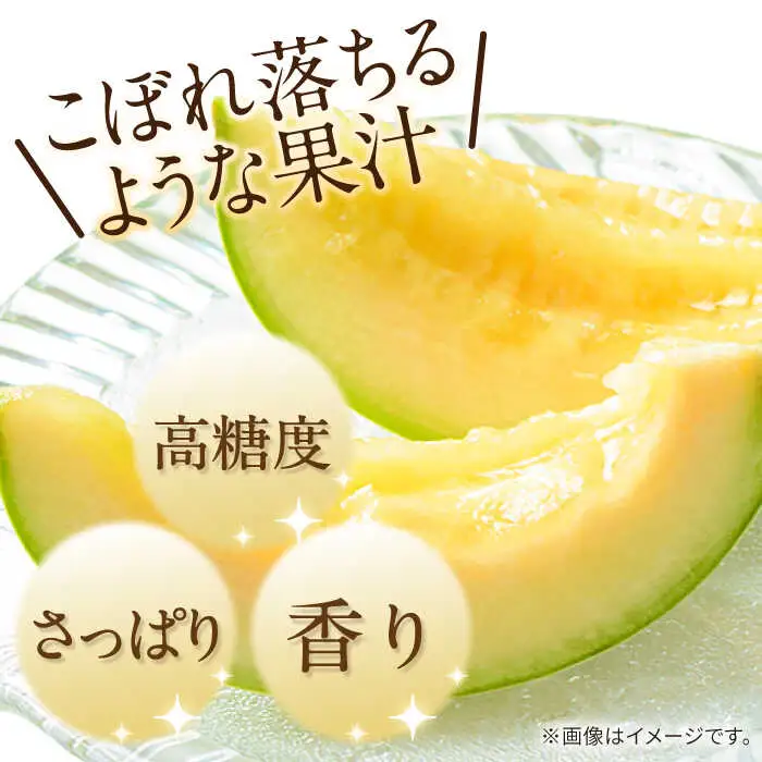 【2027年4月下旬-発送】【根強い人気!】 訳あり プリンスメロン 3箱セット（1箱 7?13玉）傷もの / メロン めろん フルーツ 果物 / 南島原市 / 南島原果物屋[SCV023]
