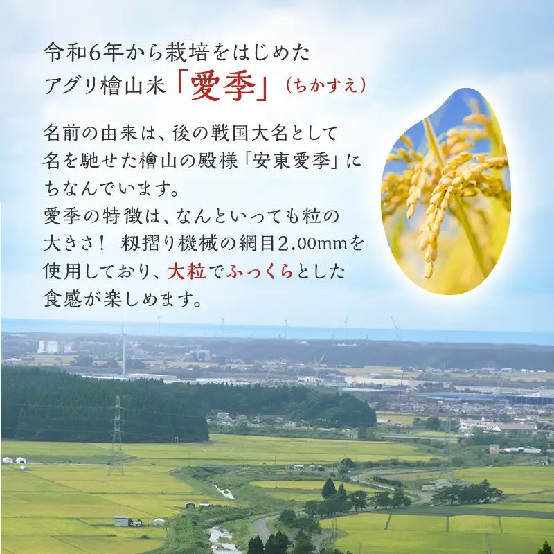 令和7年産 玄米 秋田県産 あきたこまち  アグリ檜山米 玄米【10kg(5kg×2袋)】