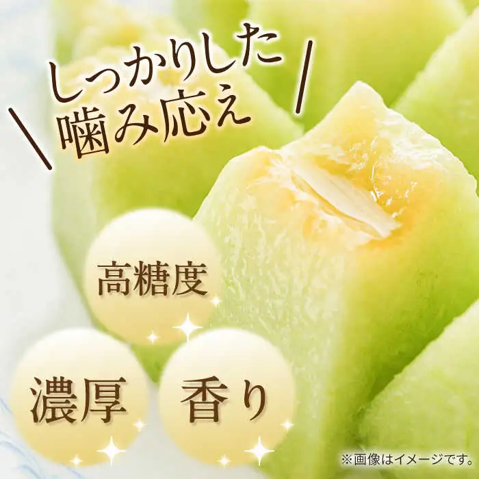 【2027年5月-発送】【さわやかな味!】訳あり タカミメロン 3箱セット（1箱 3?6玉）傷もの / メロン めろん フルーツ 果物 / 南島原市 / 南島原果物屋[SCV027]
