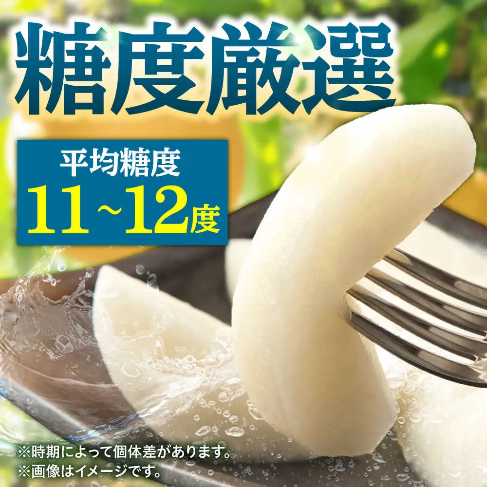【先行予約・26年8月以降発送】梨 豊水 5kg 日田 梨 [ARBB002]