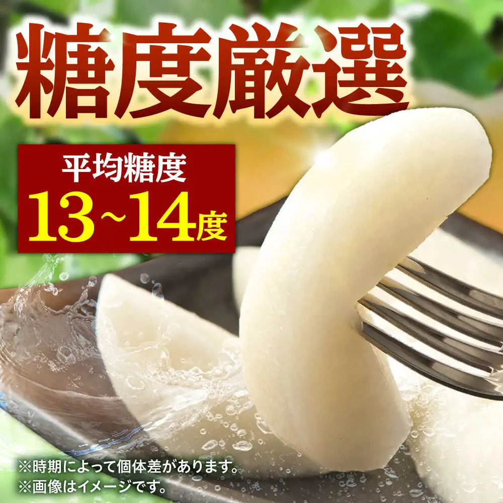 【先行予約・26年9月以降発送】梨 あきづき 3kg 日田 梨[ARBB003]