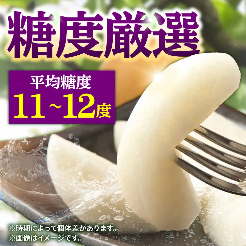 【先行予約・26年10月以降発送】梨 新興 5kg 梨 [ARBB005]