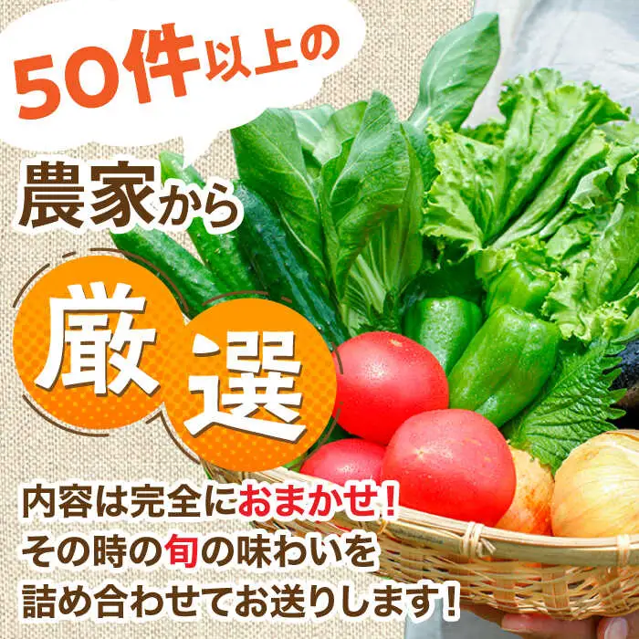 【特別栽培】 農家セレクト日田の厳選食材 詰め合わせ 日田市 野菜 果物 米 産地直送 新鮮 セット [ARBR001]