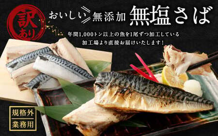 【訳あり規格外】  業務用 無添加 無塩さば 1.5kg 鯖 さば サバ 魚 お魚 さかな 魚介 魚介類