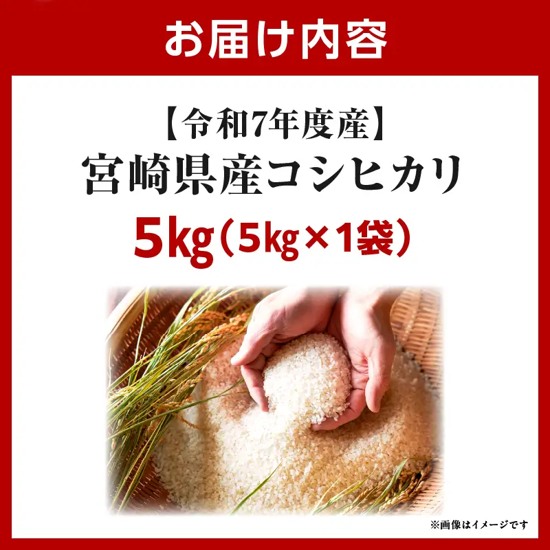 令和7年度産 宮崎県産コシヒカリ 5kg（5kg×1袋）米 こめ お米 白米 精米 こしひかり コシヒカリ ブランド米 ご飯 御飯 ごはん 国産米 早場米 宮崎県産