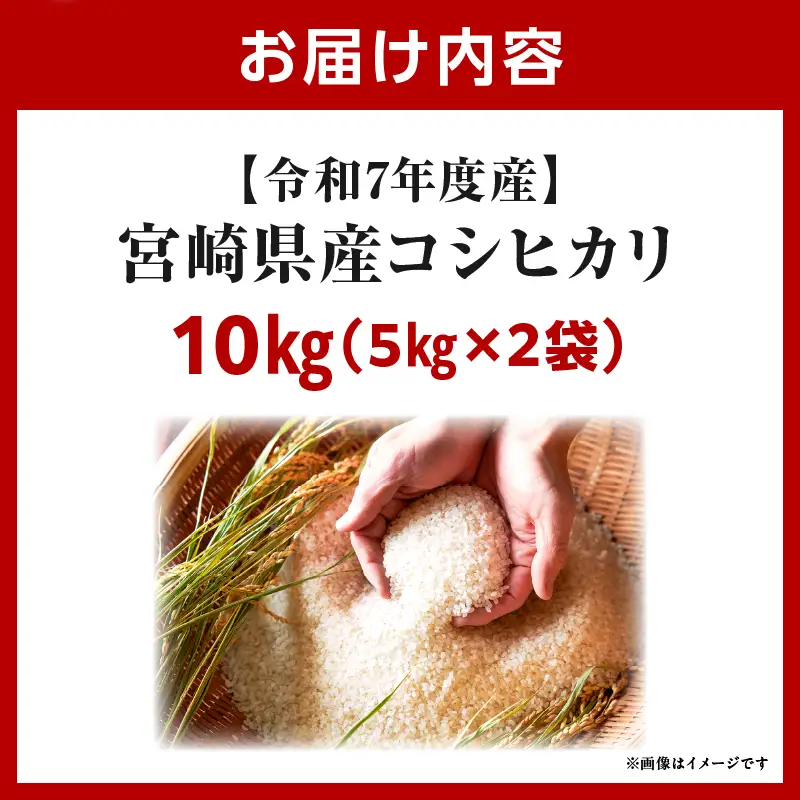 令和7年度産 宮崎県産コシヒカリ 10kg（5kg×2袋）米 こめ お米 白米 精米 こしひかり コシヒカリ ブランド米 ご飯 御飯 ごはん 国産米 早場米 宮崎県産