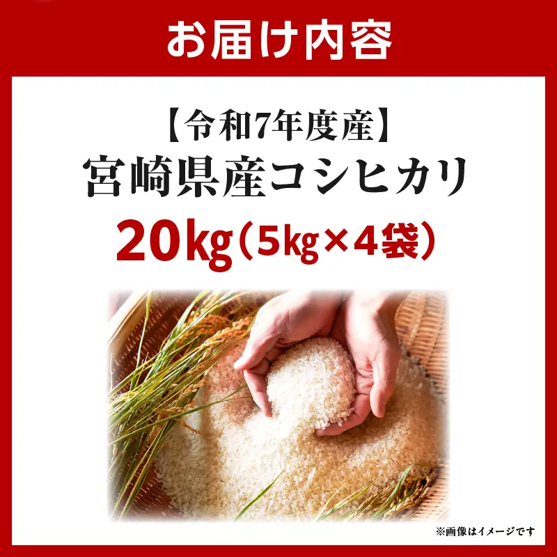 令和7年度産 宮崎県産コシヒカリ 20kg（5kg×4袋）米 こめ お米 白米 精米 こしひかり コシヒカリ ブランド米 ご飯 御飯 ごはん 国産米 早場米 宮崎県産