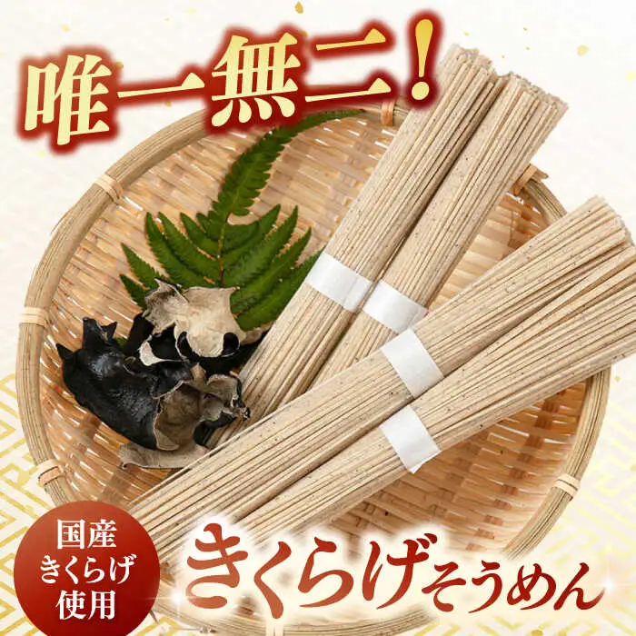 【お中元対象】きくらげ麺 そうめん (20束) ADBA012 そうめん 人気 おいしい