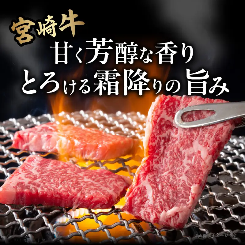 宮崎牛ロース(焼肉用)計800g 肉 牛 牛肉 国産_T050-0045