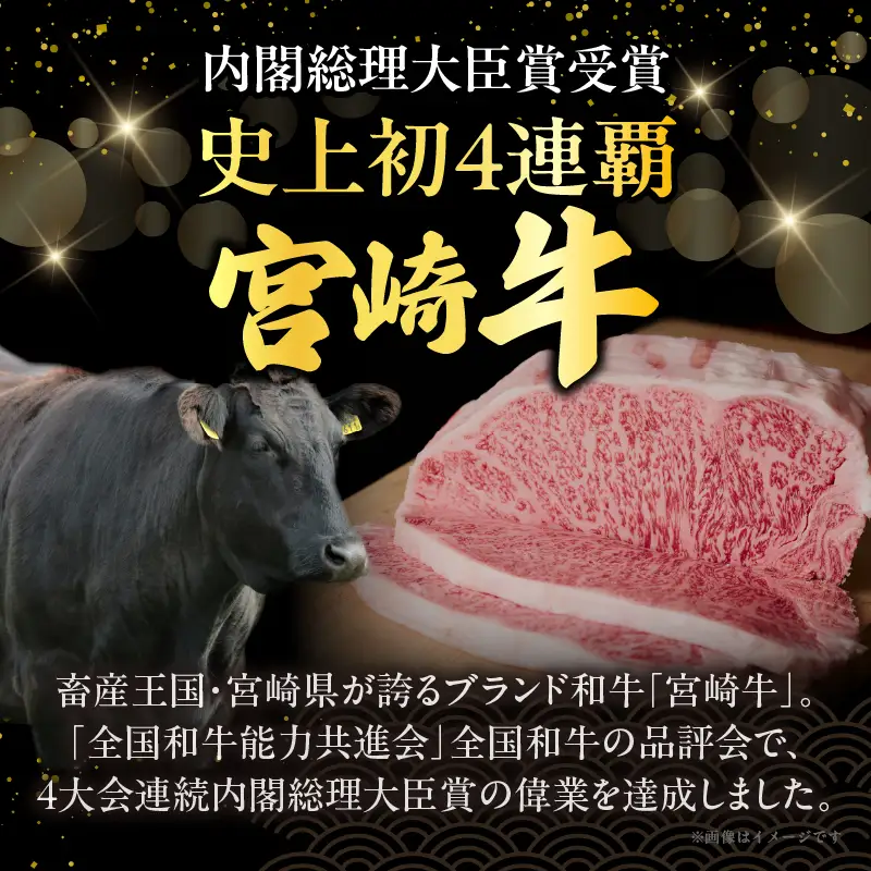 宮崎牛ローススライス(計800g) 肉 牛 牛肉 国産_T050-0065