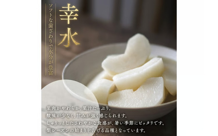 梨 2種 ( 幸水 ＆ 豊水 各10kg 合計20kg ) 定期便 セット 2026年産 先行予約 なし