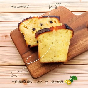 シークワーサーパウンドケーキセット チョコチップ 各3個 計6個入り 【R01333】