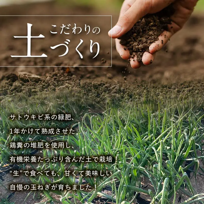 ＜2027年度先行予約＞甘すぎる新鮮玉ねぎ 10kg（2027年5月中旬～6月上旬頃出荷） 減農薬減 化学肥料 生食 たまねぎ 玉ねぎ タマネギ 野菜 食品 F20E-681