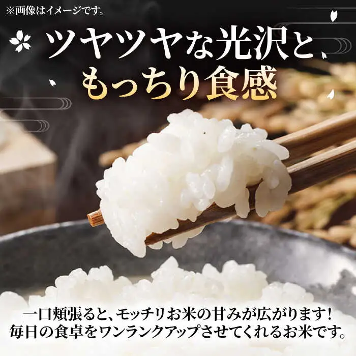 【R8年産】【全2回定期便】新米 福岡県産 夢つくし 10kg×1袋[VBC017]