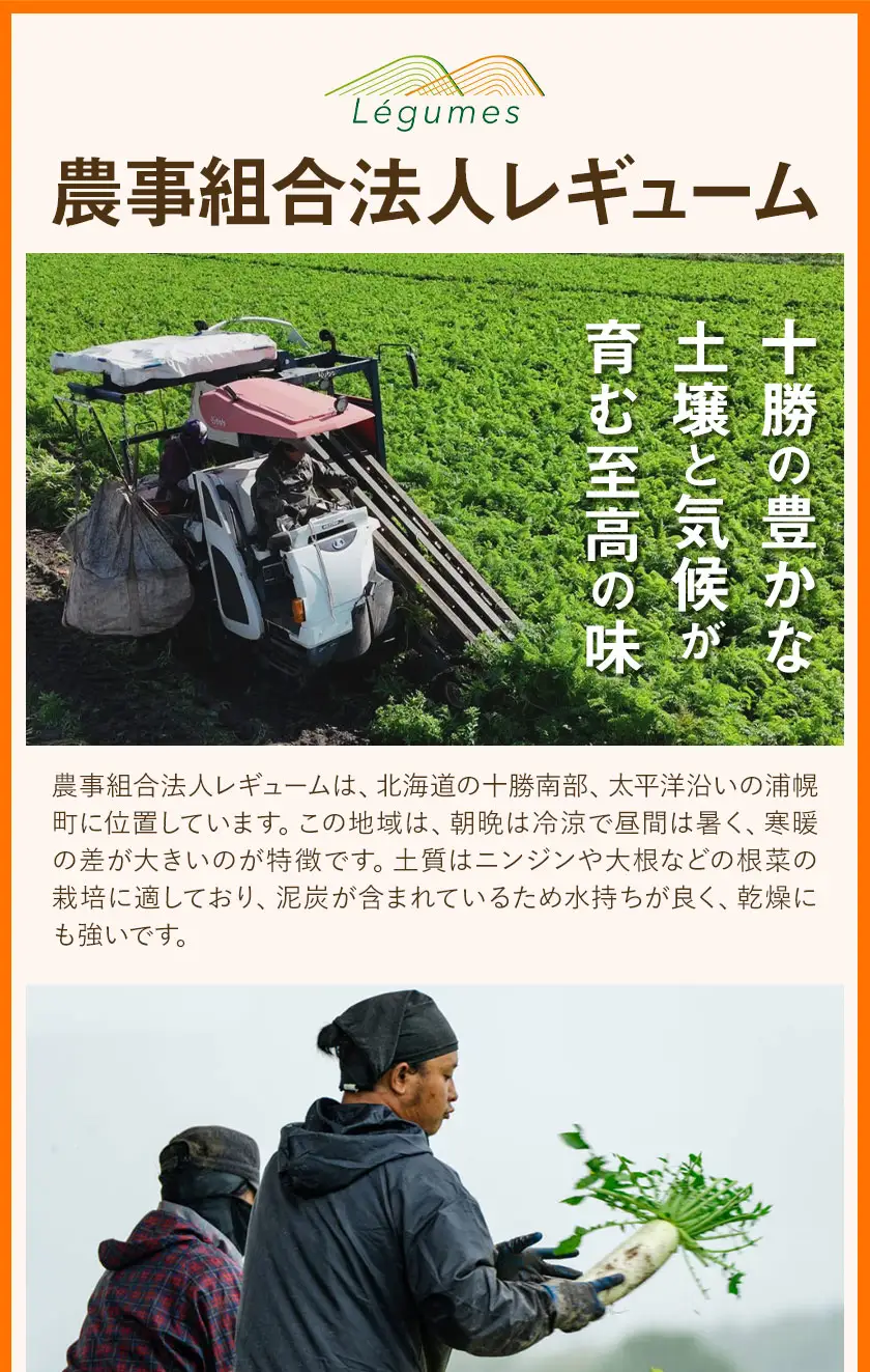 訳あり 甘い人参 浦幌べにかなで 2kg 北海道十勝産