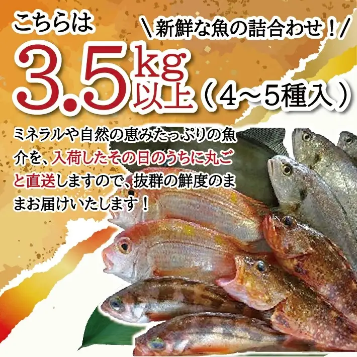地魚おまかせセット 4～5種類入り 計3.5kg以上 冷蔵便 ※着日指定・離島（沖縄県を含む）への発送不可 東北 山形県 遊佐町 庄内地方 鮮魚 詰合せ 産地直送 新鮮 [1621]