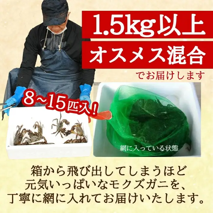 生・天然モクズガニ 1.5kg以上 8～15匹 オス・メス混合 山形県庄内産 9月中旬～12月上旬頃順次発送 冷蔵便 ※着日指定・離島（沖縄県を含む）発送不可 カニ 蟹 かに 川ガニ 新鮮 鮮魚 まるごと 姿 カニみそ 味噌汁 蒸し蟹 期間限定 お取り寄せ おうち時間 [849]