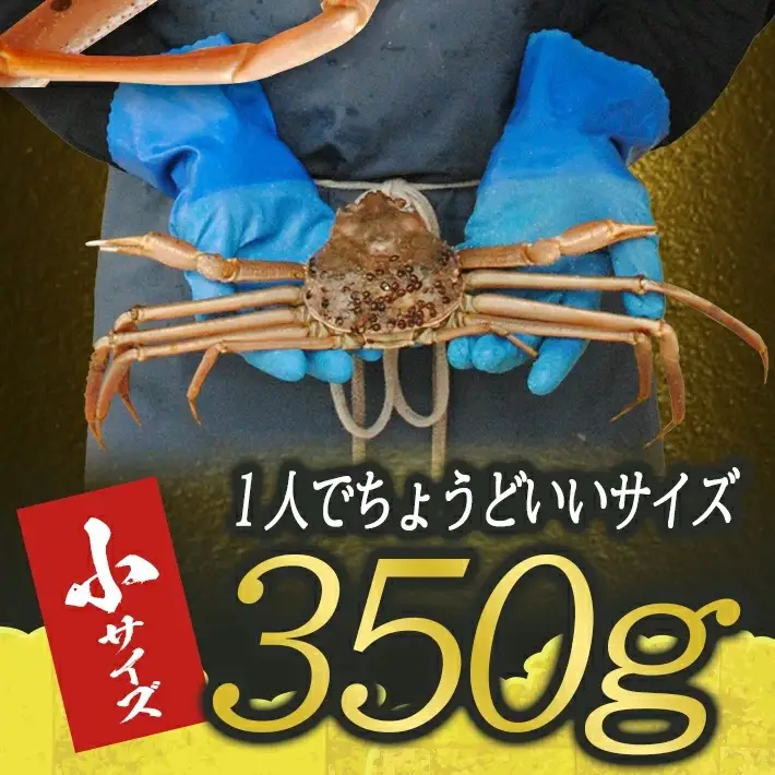 生・本ズワイガニ 1匹 350g程度 遊佐沖 10月中旬～12月下旬頃お届け 冷蔵便 ※着日指定・離島（沖縄県を含む）発送不可 1人前 東北 山形県 庄内地方 日本海 カニ 蟹 かに 海産物 シーフード 海鮮 新鮮 鮮魚 まるごと 生食 刺身 ボイル 期間限定 [852]