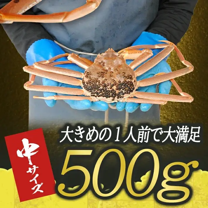 生・本ズワイガニ 1匹 500g程度 遊佐沖 10月中旬～12月下旬頃お届け 冷蔵便 ※着日指定・離島（沖縄県を含む）発送不可 1人前 東北 山形県 庄内地方 日本海 カニ 蟹 かに 海産物 シーフード 海鮮 新鮮 鮮魚 まるごと 生食 刺身 ボイル 焼き 期間限定 [853]