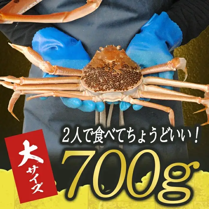 生・本ズワイガニ 1匹 700g程度 遊佐沖 10月中旬～12月下旬頃お届け 冷蔵便 ※着日指定・離島（沖縄県を含む）発送不可 2人前 東北 山形県 庄内地方 日本海 カニ 蟹 かに 海産物 シーフード 海鮮 新鮮 鮮魚 まるごと 生食 刺身 ボイル 焼き 期間限定 [854]