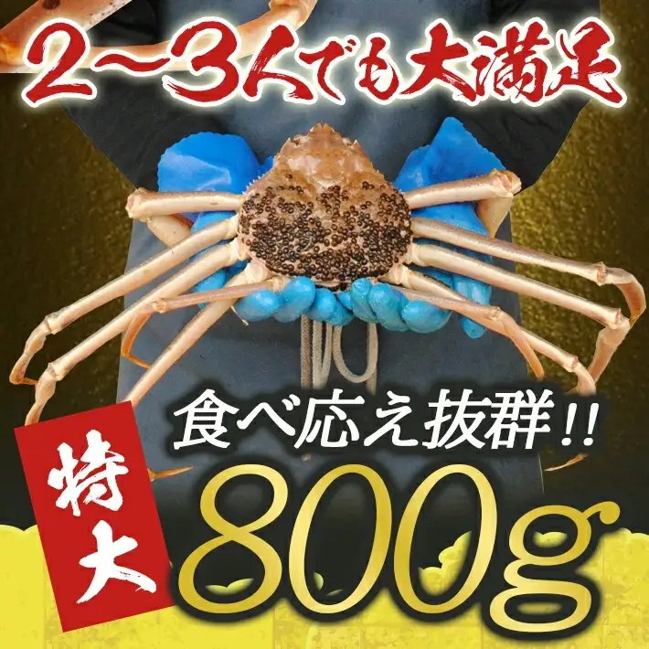生・本ズワイガニ 1匹 800g程度 遊佐沖 10月中旬～12月下旬頃お届け 冷蔵便 ※着日指定・離島（沖縄県を含む）発送不可 2人前 3人前 東北 山形県 庄内地方 日本海 カニ 蟹 かに 海産物 シーフード 海鮮 新鮮 鮮魚 まるごと 生食 刺身 ボイル 焼き 期間限定 [855]