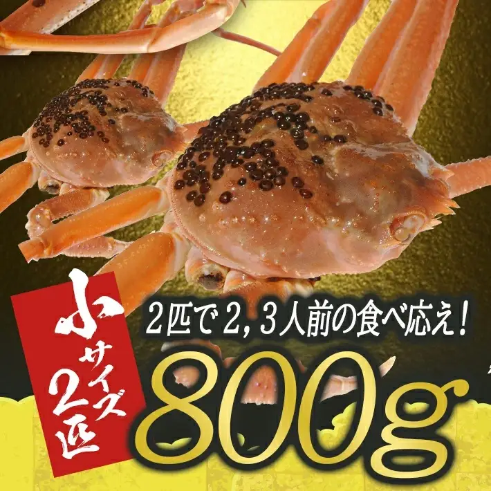 訳あり 生・本ズワイガニ 2匹 計800g程度 1～2本足折れ 遊佐沖 10月中旬～12月下旬頃お届け 冷蔵便 ※着日指定・離島（沖縄県を含む）発送不可 わけあり 訳アリ ワケアリ ワケあり カニ 蟹 かに 海産物 海鮮 新鮮 まるごと 生食 刺身 ボイル 期間限定 [856]