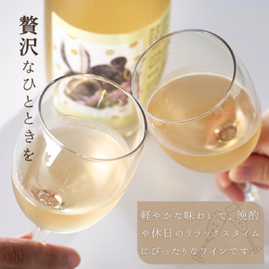 新潟産弥彦ブリューイング白泡 2024年(果実酒:発泡性) 750ml | ワイン