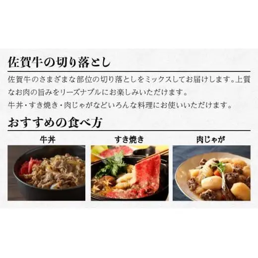 【定期便3回】佐賀牛切り落とし1000g（500g×2） 