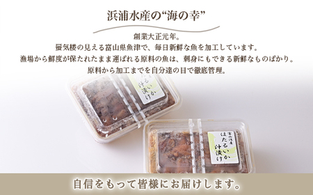 ほたるいかの沖漬(500g)×2パック ｜ 天然 おきづけ 沖づけ 沖漬け 魚貝類 魚介類 海鮮 海産物 海の幸 珍味 グルメ 受賞 小分け お取り寄せ 人気 日本海 富山 特産品 浜浦水産 おつまみ 酒の肴 北陸 富山県 魚津市 送料無料