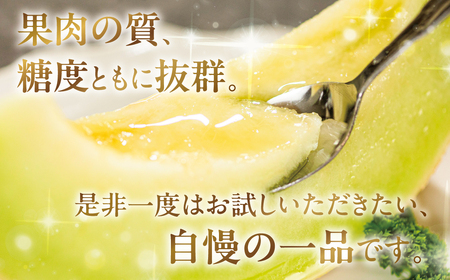 《先行予約》特選マスクメロン 5玉 メロン マルタケ農園