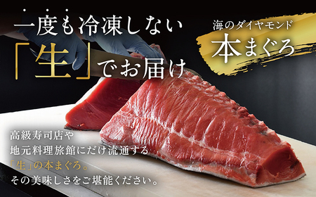 【道の駅越前たけふ】20,000円セット　人気商品詰め合わせ（生本マグロ、越前そば、ミルキークイーン）