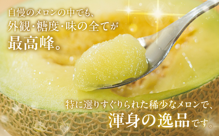 《先行予約》 超特選メロンマスクメロン 2玉(1玉 2.1kg前後) 渥美半島産 マルタケ農園 メロン めろん 箱詰め フルーツ 果物 愛知県 田原市 産地直送 夏 19000円 1万9千円