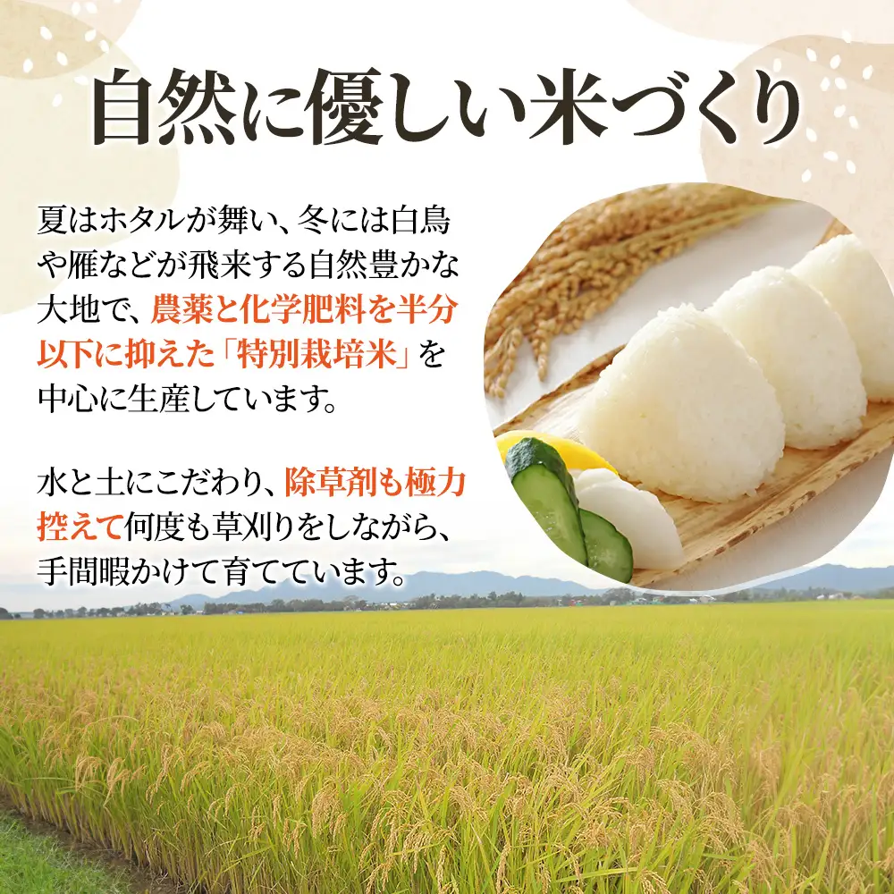 にじのきらめき 上越産 精米 にじのきらめき 5kg【訳あり・2か月定期便】