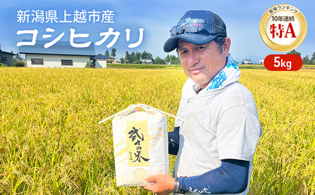 令和7年 新潟県産 特別栽培米 コシヒカリ 5kg 5キロ上越市清里区 新潟 精米 従来品種 希少 限定 送料無料