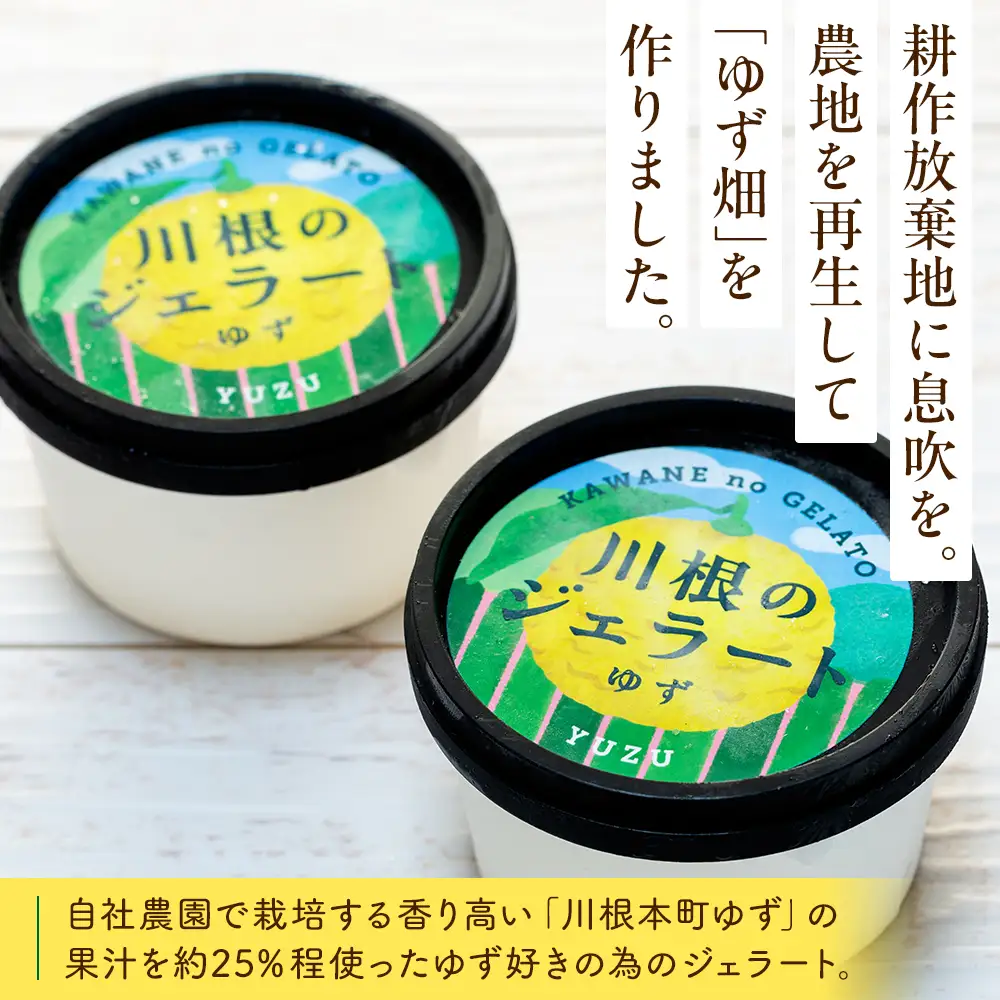 11-81 ゆずジェラート（1バルク 2000ml）